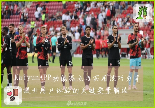 KaiyunAPP功能亮点与实用技巧分享：提升用户体验的关键要素解读